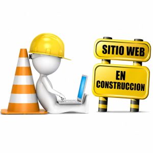 Estamos desarrollando esta sección de servicios para ti